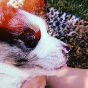 Meet your Posher, Jillian